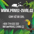 Doporučujeme !!!